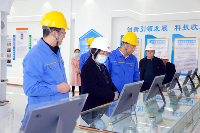 洛陽(yáng)市人大常委會(huì )副主任雷雪芹到我公司調研