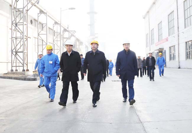 縣長(cháng)郅書(shū)安春節前到金屬鈉公司檢查安全工作