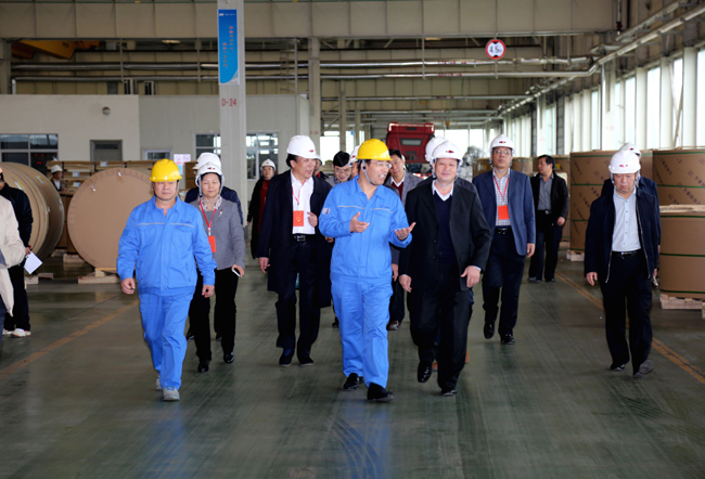 駐洛陽(yáng)市省、市人大代表到萬(wàn)基控股集團參觀(guān)